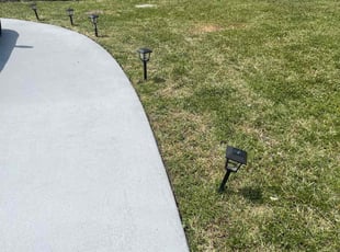Annette G.'s Lawn Mowing service result