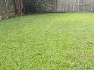 Jeanne N.'s Lawn Care service result