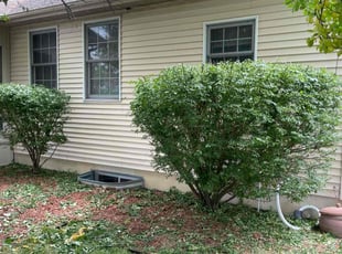 Bush Trimming by Demetrius Criggley for Angela N. in Springfield, IL