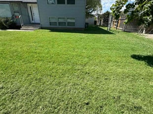 Drew N.'s Lawn Care service result