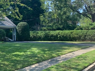 Mulching by Jose M Rodriguez for Mary S. in Alexandria, VA