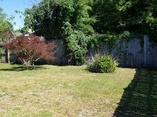 Bush Trimming by Priscilla Way for Russell H. in Pensacola, FL