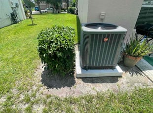 Bush Trimming by Jeff Osbeck for Maureen M. in Winter Haven, FL