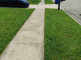 Paul B.'s Lawn Mowing Service service result