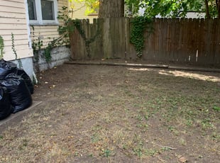 Cleanups by Thomas Abney for Carla F. in Cleveland, OH