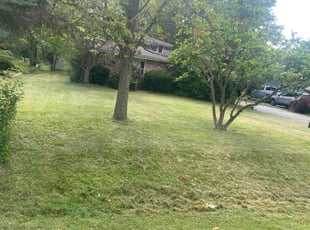 Lora B.'s Lawn Care service result