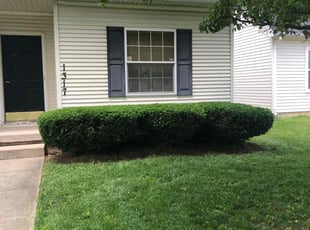 Bush Trimming by Stephen Reynolds for Karen L. in Dayton, OH