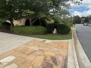 Bush Trimming by Phoebe Odum for Eric T. in Kennesaw, GA