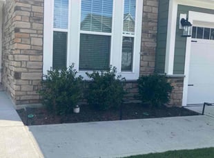 Weeding by Almonte Marshall for M. in Durham, NC