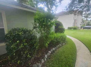 Weeding by Michael Thomas for Cassie P. in Jacksonville, FL
