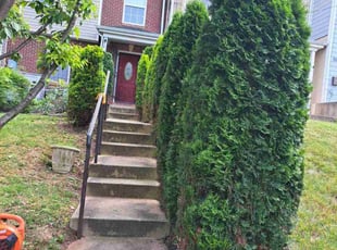 Bush Trimming by Jose Paz for Joseph K. in Washington, DC