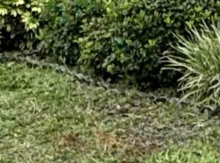 Aeration by Van Brown for Yulan H. in Winter Garden, FL