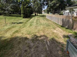 Patsy L.'s Lawn Mowing service result