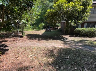 Leaf Removal by Walter Sandoval for Jennifer C. in North Charleston, SC