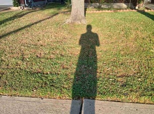 Leaf Removal by Efrain Perez for Chanelle W. in Houston, TX