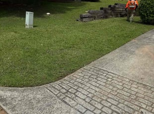 Cleanups by Toni Feaster for Kenny R. in Stone Mountain, GA