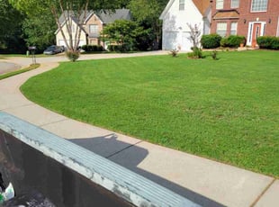 Pat S.'s Yard Cutting service result