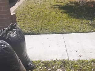 Leaf Removal by Gregorio Castruita for timothy f. in Houston, TX