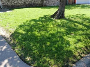 Kim a.'s Lawn Mowing service result