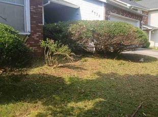 Cleanups by Joshua Walker for LaToya J. in Decatur, GA