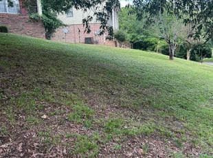 Cleanups by Bianka Roy for Rosalind W. in Center Point, AL
