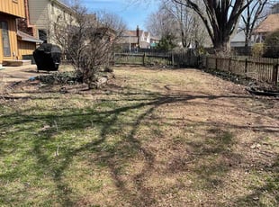 Leaf Removal by Scott Culala for Othree J. in Olathe, KS