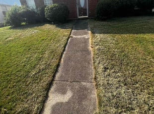 Susan S.'s Lawn Service service result