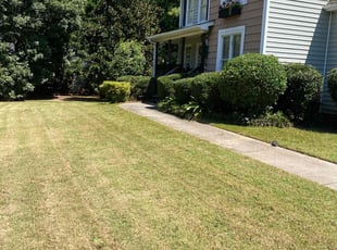 Bush Trimming by Miguel Vega for Tamara H. in McDonough, GA
