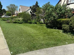 Michelle B.'s Lawn Service service result