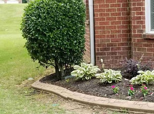 Bush Trimming by Laron Austin for Benny C. in Atlanta, GA
