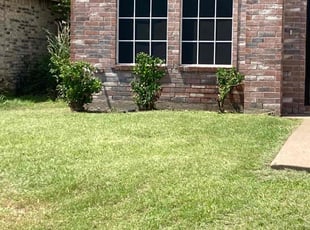 Bush Trimming by Noe Montiel for Surreah M. in Mesquite, TX