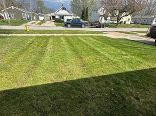 Charis P.'s Lawn Care service result