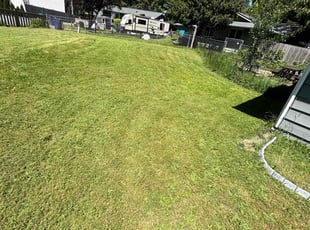 Cameron A.'s Lawn Service service result