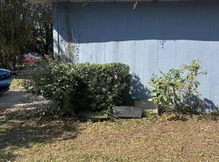 Bush Trimming by Carlton Calloway for Aimee B. in Tampa, FL