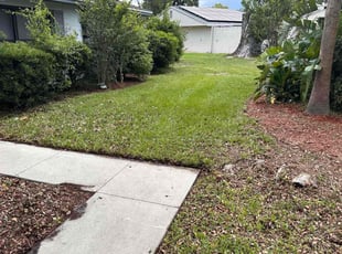 Cleanups by Hector's Lawncare C for Corsha O. in Winter Park, FL