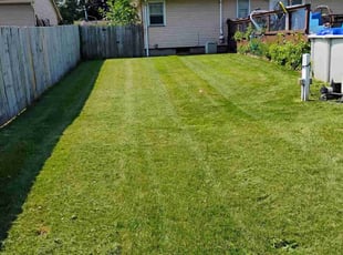 Danica C.'s Lawn Care service result