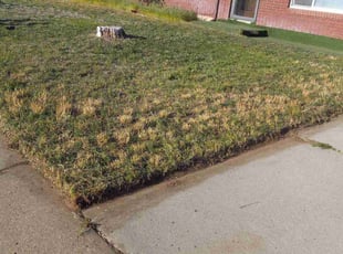 Cleanups by Angelic Griego for Justin O. in Layton, UT