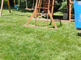 Kishon G.'s Lawn Maintenance service result