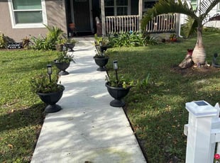 Jameca L.'s Lawn Mowing service result