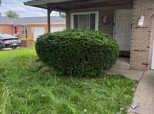 Bush Trimming by Chase Wise for Katie k. in Columbus, OH