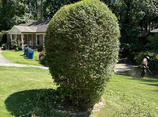 Bush Trimming by Jovon Braddy for Thomas J. in East Point, GA