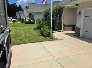 Bush Trimming by Michael Rader for Michael S. in Gulf Shores, AL