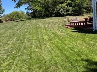 Maryann L.'s Lawn Service service result