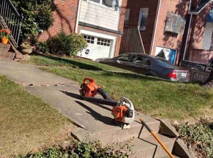 Cleanups by Allan Roberts for Nino C. in Arlington, VA