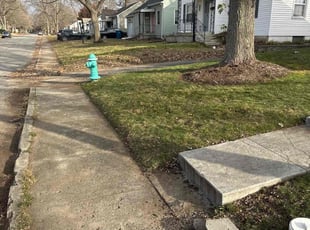 Leaf Removal by Luis Contreras for Claire W. in Indianapolis, IN