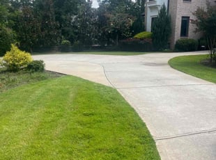 Tommy z.'s Yard Cutting service result