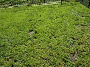 Aeration by Thomas Abney for Rob C. in Wadsworth, OH