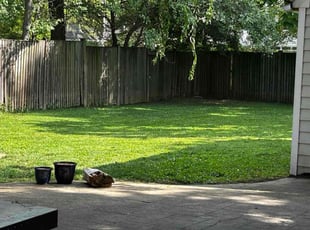 Sandra S.'s Lawn Care service result