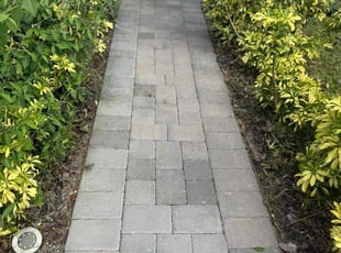 Cleanups by Jairo Ibero for Wilson L. in Clermont, FL