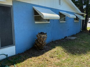 Cleanups by Carlos Marti for Charles S. in New Port Richey, FL